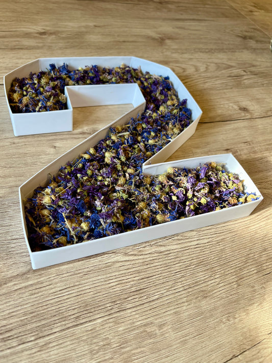 Birthday Box